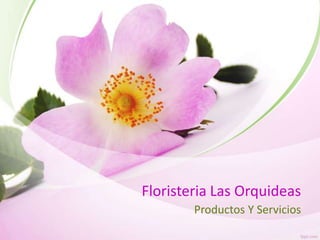 Floristeria Las Orquideas
Productos Y Servicios

 