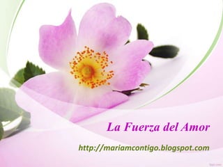 La Fuerza del Amor
http://mariamcontigo.blogspot.com

 