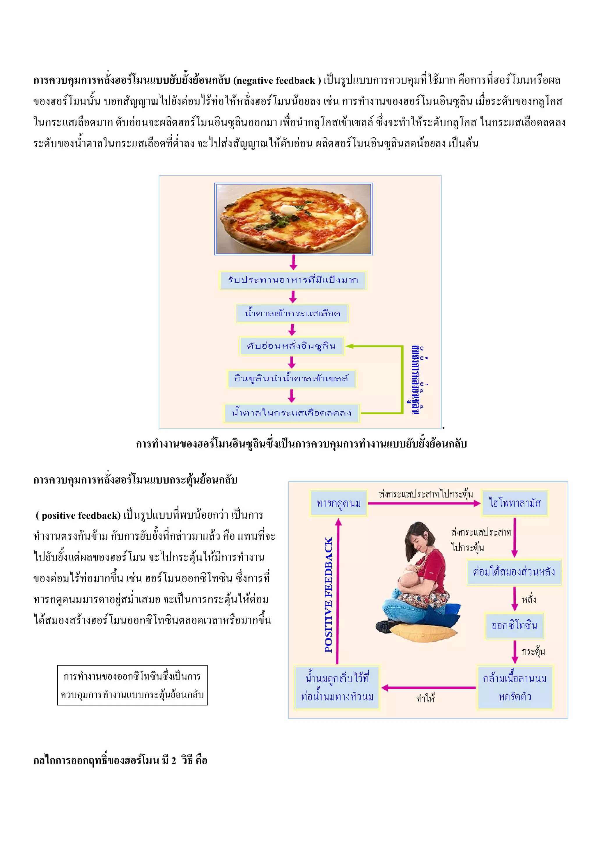 ก           ก                   F                        F ก (negative feedback )          ก               F ก ก           F
        F               ก                            F     F F F      F     F     F ก          F                               ก
    ก               ก               F                  F           ก          ก      F     F       F           ก       ก
                        ก                                      F        F F            F               F           F




                                                                                                           .
                                        ก                 F                ก          ก                    F ก

ก           ก               F                    ก    F F ก

( positive feedback)                                   F กF      ก
           ก F ก ก                                กF     F
             F        F                           ก F F ก
       F    F F ก       F                       F    ก           ก
     ก              F                                ก ก F       F F
   F           F F        ก                                       ก


        ก                   ก                       ก
                ก                           ก   F F ก



ก กก        ก                           F        2
 
