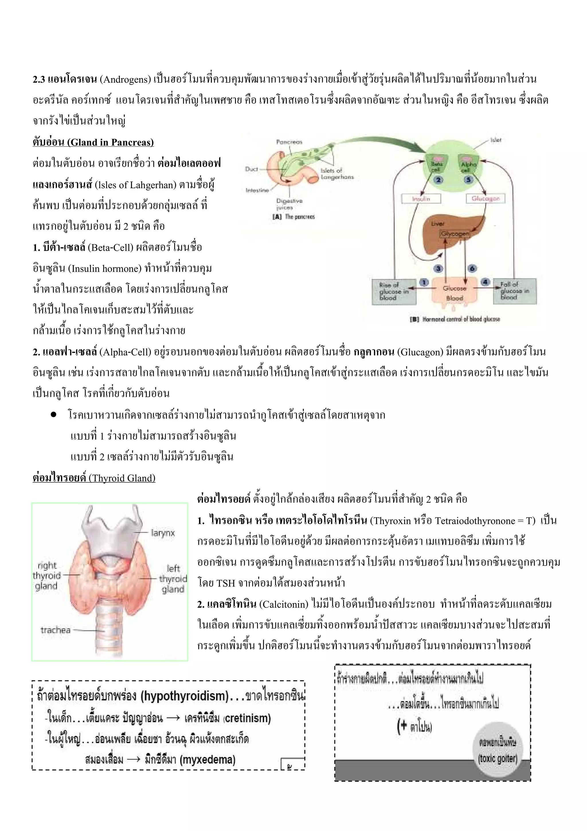 2.3                         (Androgens)               F                                             ก             F ก              F F F         F        F     ก   F
                      F ก F                                                                                                          ก       F
       ก F              F         F
        F (Gland in Pancreas)
   F            F                   ก F F
         ก F           F (lsles of Lahgerhan)                          F
 F                F              ก F กF                        F
        ก F               F      2
1. F - F (Beta-Cell)                              F
            (Insulin hormone)                   F
             ก                           Fก                        ก
       F ก                    ก           F
กF             F ก Fก                         F ก
2.           - F (Alpha-Cell) F                            ก                   F                F                   F              ก   ก   (Glucagon)         F ก       F
              F Fก                     ก                  ก                        กF                   F    ก              F Fก             Fก       ก
        ก                     ก ก           F
        •                        ก ก FF                   ก                F                ก               F F         F              ก
                            1 F ก F                        F
                            2       FF ก F
     F              F (Thyroid Gland)
                                                                 F                      F           F ก Fก F
                                                                                                      F          2
                                                               1.      ก                             (Thyroxin     Tetraiodothyronone = T)
                                                               ก                        F F      F ก ก F                          ก F
                                                                  ก      ก        ก           ก F            ก       F          ก      ก
                                                                    TSH ก F        F        F  F
                                                               2.            (Calcitonin) F                 F ก            F
                                                                           ก                   ก F                            F
                                                               ก ก            ก      F                  F ก    F       ก F               F
 