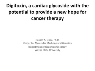 Digitoxin, a cardiac glycoside with the
potential to provide a new hope for
cancer therapy
Hosam A. Elbaz, Ph.D.
Center for Molecular Medicine and Genetics
Department of Radiation Oncology
Wayne State University
 