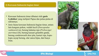 586338900-PPT-Bab-1-IPA-Biologi-Kelas-X-Kur-Merdeka.pdf