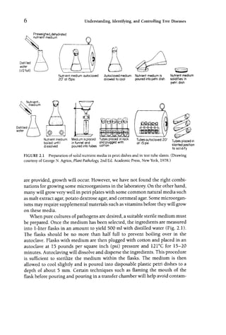 Field And Laboratory Guide To Tree Pathology 2nd Ed Blanchard | PDF