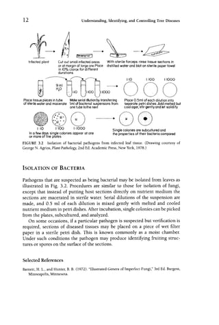 Field And Laboratory Guide To Tree Pathology 2nd Ed Blanchard | PDF