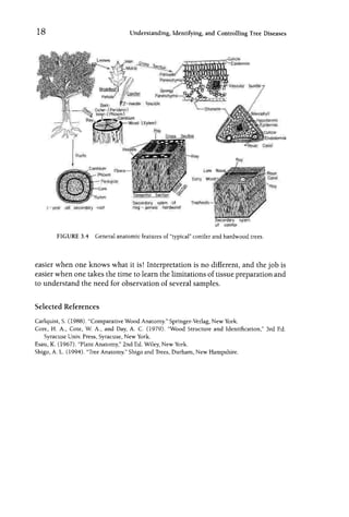 Field And Laboratory Guide To Tree Pathology 2nd Ed Blanchard | PDF