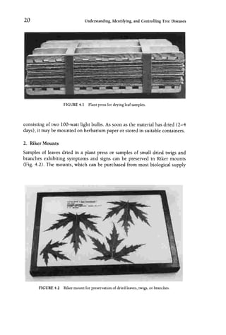 Field And Laboratory Guide To Tree Pathology 2nd Ed Blanchard | PDF