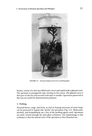 Field And Laboratory Guide To Tree Pathology 2nd Ed Blanchard | PDF