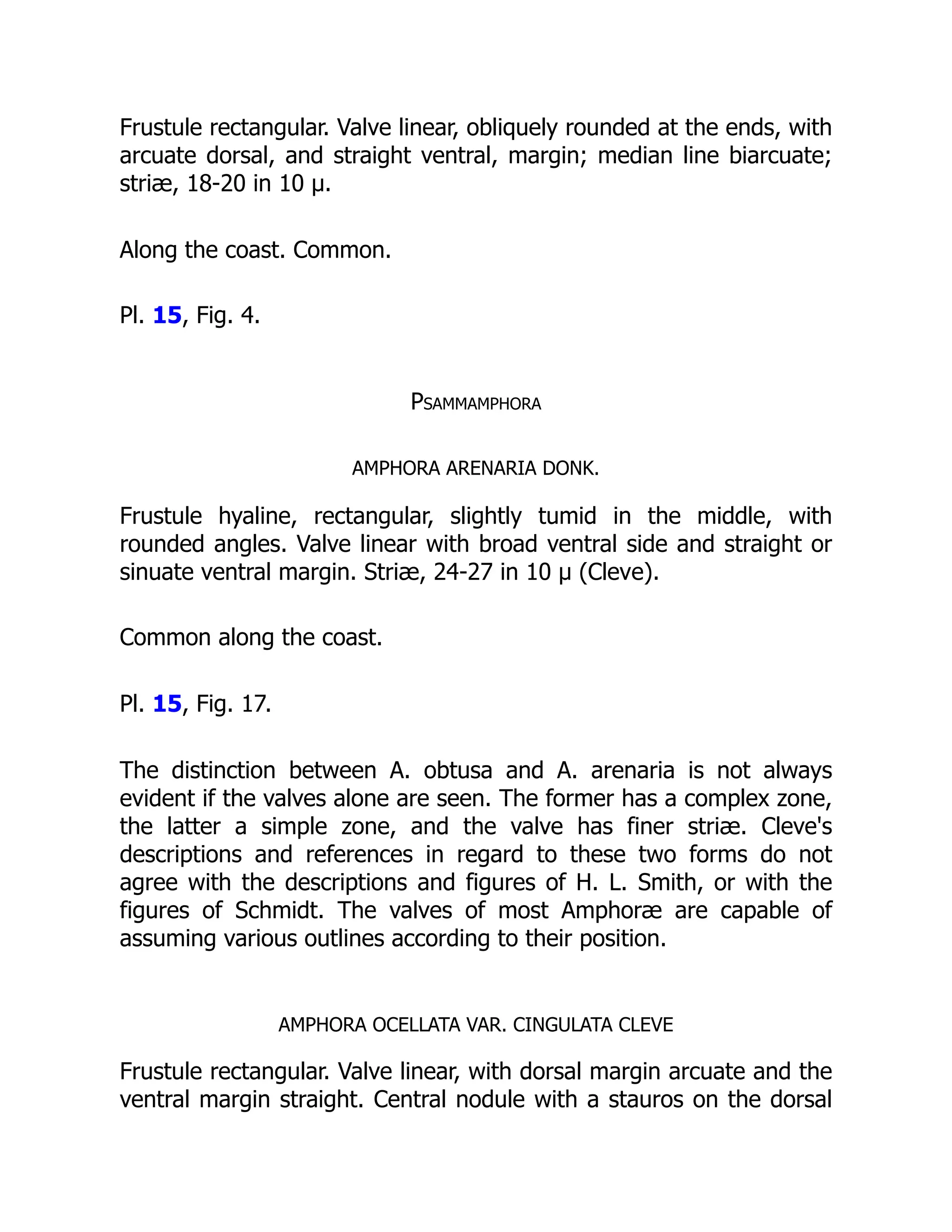 Frustule rectangular. Valve linear, obliquely rounded at the ends, with
arcuate dorsal, and straight ventral, margin; median line biarcuate;
striæ, 18-20 in 10 µ.
Along the coast. Common.
Pl. 15, Fig. 4.
Psammamphora
AMPHORA ARENARIA DONK.
Frustule hyaline, rectangular, slightly tumid in the middle, with
rounded angles. Valve linear with broad ventral side and straight or
sinuate ventral margin. Striæ, 24-27 in 10 µ (Cleve).
Common along the coast.
Pl. 15, Fig. 17.
The distinction between A. obtusa and A. arenaria is not always
evident if the valves alone are seen. The former has a complex zone,
the latter a simple zone, and the valve has finer striæ. Cleve's
descriptions and references in regard to these two forms do not
agree with the descriptions and figures of H. L. Smith, or with the
figures of Schmidt. The valves of most Amphoræ are capable of
assuming various outlines according to their position.
AMPHORA OCELLATA VAR. CINGULATA CLEVE
Frustule rectangular. Valve linear, with dorsal margin arcuate and the
ventral margin straight. Central nodule with a stauros on the dorsal
 