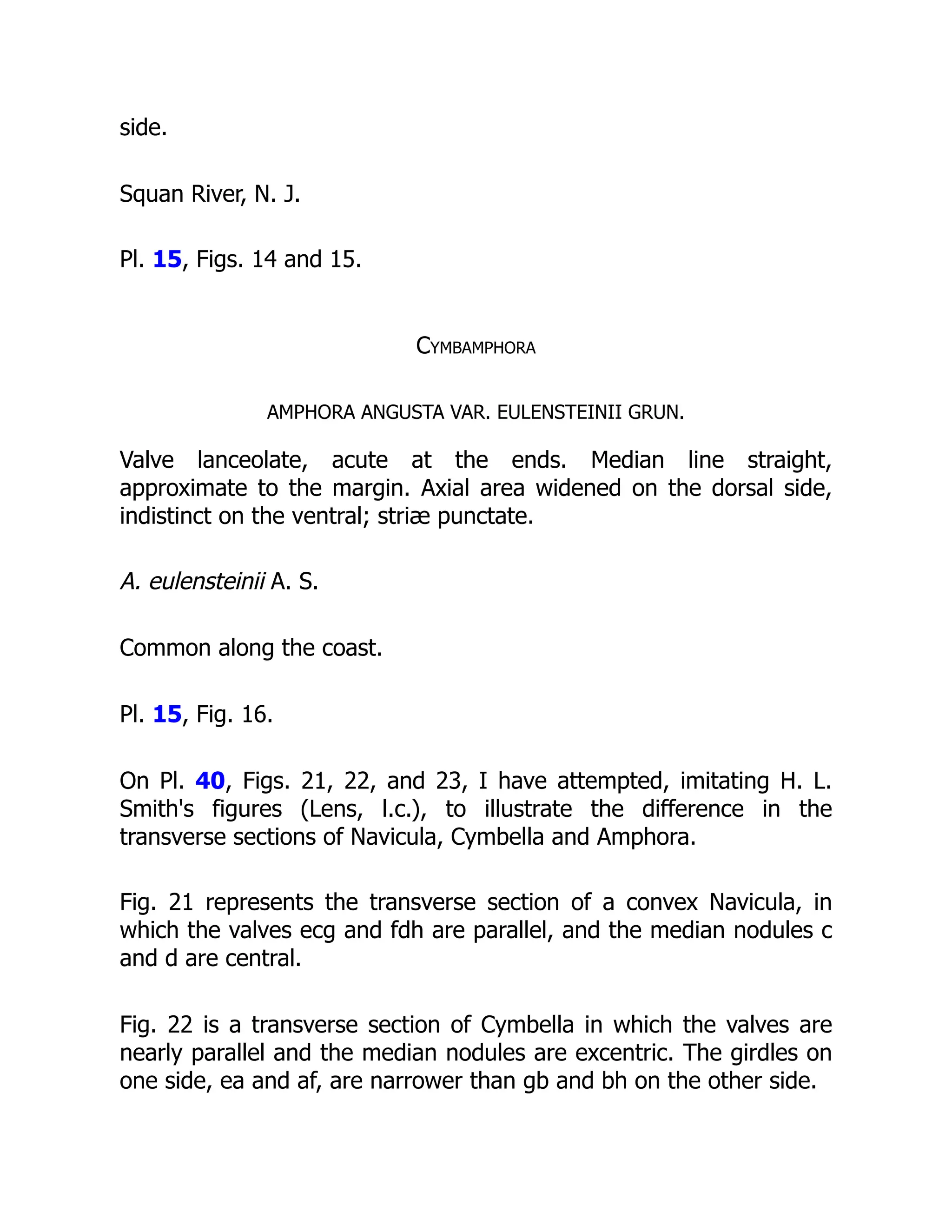 side.
Squan River, N. J.
Pl. 15, Figs. 14 and 15.
Cymbamphora
AMPHORA ANGUSTA VAR. EULENSTEINII GRUN.
Valve lanceolate, acute at the ends. Median line straight,
approximate to the margin. Axial area widened on the dorsal side,
indistinct on the ventral; striæ punctate.
A. eulensteinii A. S.
Common along the coast.
Pl. 15, Fig. 16.
On Pl. 40, Figs. 21, 22, and 23, I have attempted, imitating H. L.
Smith's figures (Lens, l.c.), to illustrate the difference in the
transverse sections of Navicula, Cymbella and Amphora.
Fig. 21 represents the transverse section of a convex Navicula, in
which the valves ecg and fdh are parallel, and the median nodules c
and d are central.
Fig. 22 is a transverse section of Cymbella in which the valves are
nearly parallel and the median nodules are excentric. The girdles on
one side, ea and af, are narrower than gb and bh on the other side.
 