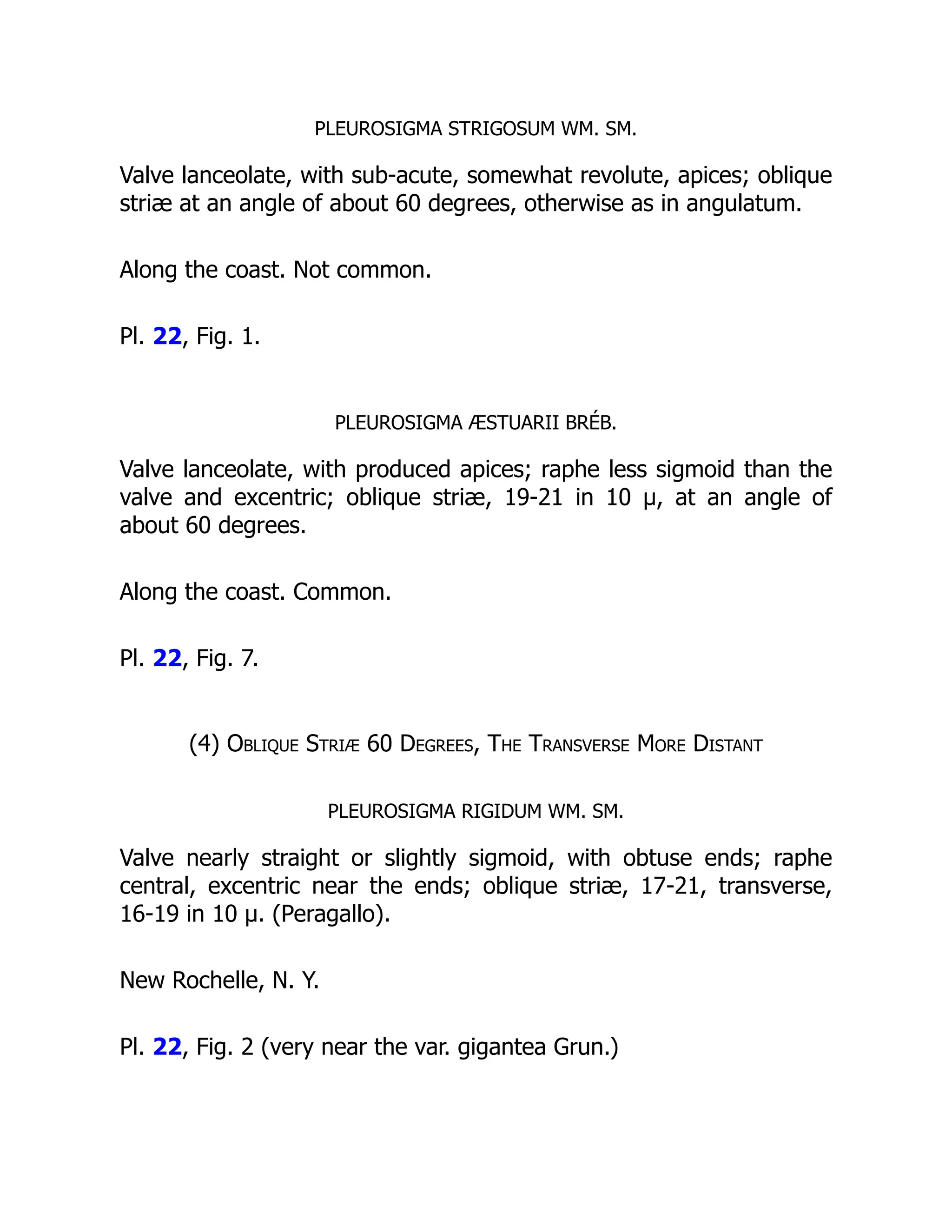 PLEUROSIGMA STRIGOSUM WM. SM.
Valve lanceolate, with sub-acute, somewhat revolute, apices; oblique
striæ at an angle of about 60 degrees, otherwise as in angulatum.
Along the coast. Not common.
Pl. 22, Fig. 1.
PLEUROSIGMA ÆSTUARII BRÉB.
Valve lanceolate, with produced apices; raphe less sigmoid than the
valve and excentric; oblique striæ, 19-21 in 10 µ, at an angle of
about 60 degrees.
Along the coast. Common.
Pl. 22, Fig. 7.
(4) Oblique Striæ 60 Degrees, The Transverse More Distant
PLEUROSIGMA RIGIDUM WM. SM.
Valve nearly straight or slightly sigmoid, with obtuse ends; raphe
central, excentric near the ends; oblique striæ, 17-21, transverse,
16-19 in 10 µ. (Peragallo).
New Rochelle, N. Y.
Pl. 22, Fig. 2 (very near the var. gigantea Grun.)
 