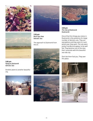 3:00 pm
Flying to Dubrovnik
Adriatic Sea
Another plane to another beautiful
city.
3:30 pm
Bird's Eye View
Adriatic Sea
The approach to Dubrovnik from
the air.
4:00 pm
The Cats of Dubrovnik
Dubrovnik
One of the first things you notice in
Dubrovnik is the presence of a large
number of denizen cats. They are
everywhere and they seem to roam
where ever they want. The cats were
pretty friendly and appear to be well
fed. They became one of the sites
that I associate with this beautiful
sea side city.
Don't let them fool you. They own
this place.
20
 
