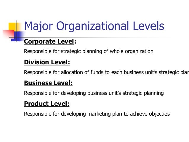 Divisional business plan