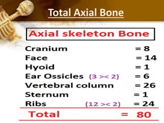 Total Axial Bone