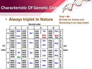 Characteristics of Genetic Code | PPTX