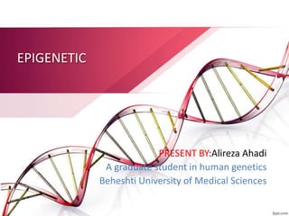 EPIGENETIC
PRESENT BY:Alireza Ahadi
A graduate student in human genetics
Beheshti University of Medical Sciences
 