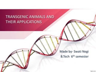TRANSGENIC ANIMALS AND
THEIR APPLICATIONS
Made by- Swati Negi
B.Tech 6th semester
 