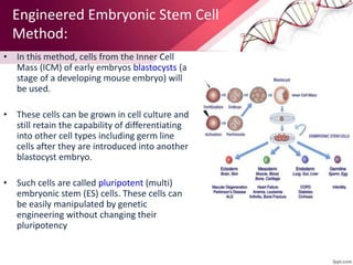 Engineered Embryonic Stem Cell
Method:
• In this method, cells from the Inner Cell
Mass (ICM) of early embryos blastocysts (a
stage of a developing mouse embryo) will
be used.
• These cells can be grown in cell culture and
still retain the capability of differentiating
into other cell types including germ line
cells after they are introduced into another
blastocyst embryo.
• Such cells are called pluripotent (multi)
embryonic stem (ES) cells. These cells can
be easily manipulated by genetic
engineering without changing their
pluripotency
 