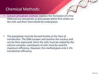 Chemical Methods:
• Calcium phosphate method; involves the formation of a fine
DNA/calcium phosphate co-precipitate which first settles on
the cells and then internalized by endocytosis.
• The precipitate must be formed freshly at the time of
transfection. The DNA escapes and reaches the nucleus and
can be then expressed. Since the cells must be coated by the
calcium complex, monolayers of cells must be used for
maximum efficiency. However, this method gives only 1-2%
transfection efficiency.
 