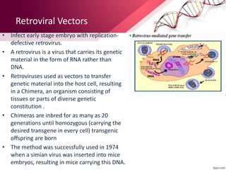 Retroviral Vectors
• Infect early stage embryo with replication-
defective retrovirus.
• A retrovirus is a virus that carries its genetic
material in the form of RNA rather than
DNA.
• Retroviruses used as vectors to transfer
genetic material into the host cell, resulting
in a Chimera, an organism consisting of
tissues or parts of diverse genetic
constitution .
• Chimeras are inbred for as many as 20
generations until homozygous (carrying the
desired transgene in every cell) transgenic
offspring are born
• The method was successfully used in 1974
when a simian virus was inserted into mice
embryos, resulting in mice carrying this DNA.
 