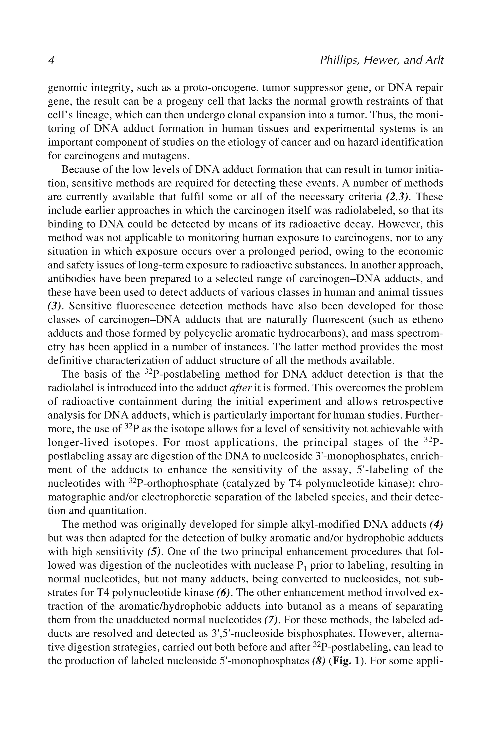 4 Phillips, Hewer, and Arlt
genomic integrity, such as a proto-oncogene, tumor suppressor gene, or DNA repair
gene, the result can be a progeny cell that lacks the normal growth restraints of that
cell’s lineage, which can then undergo clonal expansion into a tumor. Thus, the moni-
toring of DNA adduct formation in human tissues and experimental systems is an
important component of studies on the etiology of cancer and on hazard identification
for carcinogens and mutagens.
Because of the low levels of DNA adduct formation that can result in tumor initia-
tion, sensitive methods are required for detecting these events. A number of methods
are currently available that fulfil some or all of the necessary criteria (2,3). These
include earlier approaches in which the carcinogen itself was radiolabeled, so that its
binding to DNA could be detected by means of its radioactive decay. However, this
method was not applicable to monitoring human exposure to carcinogens, nor to any
situation in which exposure occurs over a prolonged period, owing to the economic
and safety issues of long-term exposure to radioactive substances. In another approach,
antibodies have been prepared to a selected range of carcinogen–DNA adducts, and
these have been used to detect adducts of various classes in human and animal tissues
(3). Sensitive fluorescence detection methods have also been developed for those
classes of carcinogen–DNA adducts that are naturally fluorescent (such as etheno
adducts and those formed by polycyclic aromatic hydrocarbons), and mass spectrom-
etry has been applied in a number of instances. The latter method provides the most
definitive characterization of adduct structure of all the methods available.
The basis of the 32P-postlabeling method for DNA adduct detection is that the
radiolabel is introduced into the adduct after it is formed. This overcomes the problem
of radioactive containment during the initial experiment and allows retrospective
analysis for DNA adducts, which is particularly important for human studies. Further-
more, the use of 32P as the isotope allows for a level of sensitivity not achievable with
longer-lived isotopes. For most applications, the principal stages of the 32P-
postlabeling assay are digestion of the DNA to nucleoside 3'-monophosphates, enrich-
ment of the adducts to enhance the sensitivity of the assay, 5'-labeling of the
nucleotides with 32P-orthophosphate (catalyzed by T4 polynucleotide kinase); chro-
matographic and/or electrophoretic separation of the labeled species, and their detec-
tion and quantitation.
The method was originally developed for simple alkyl-modified DNA adducts (4)
but was then adapted for the detection of bulky aromatic and/or hydrophobic adducts
with high sensitivity (5). One of the two principal enhancement procedures that fol-
lowed was digestion of the nucleotides with nuclease P1 prior to labeling, resulting in
normal nucleotides, but not many adducts, being converted to nucleosides, not sub-
strates for T4 polynucleotide kinase (6). The other enhancement method involved ex-
traction of the aromatic/hydrophobic adducts into butanol as a means of separating
them from the unadducted normal nucleotides (7). For these methods, the labeled ad-
ducts are resolved and detected as 3',5'-nucleoside bisphosphates. However, alterna-
tive digestion strategies, carried out both before and after 32P-postlabeling, can lead to
the production of labeled nucleoside 5'-monophosphates (8) (Fig. 1). For some appli-
 
