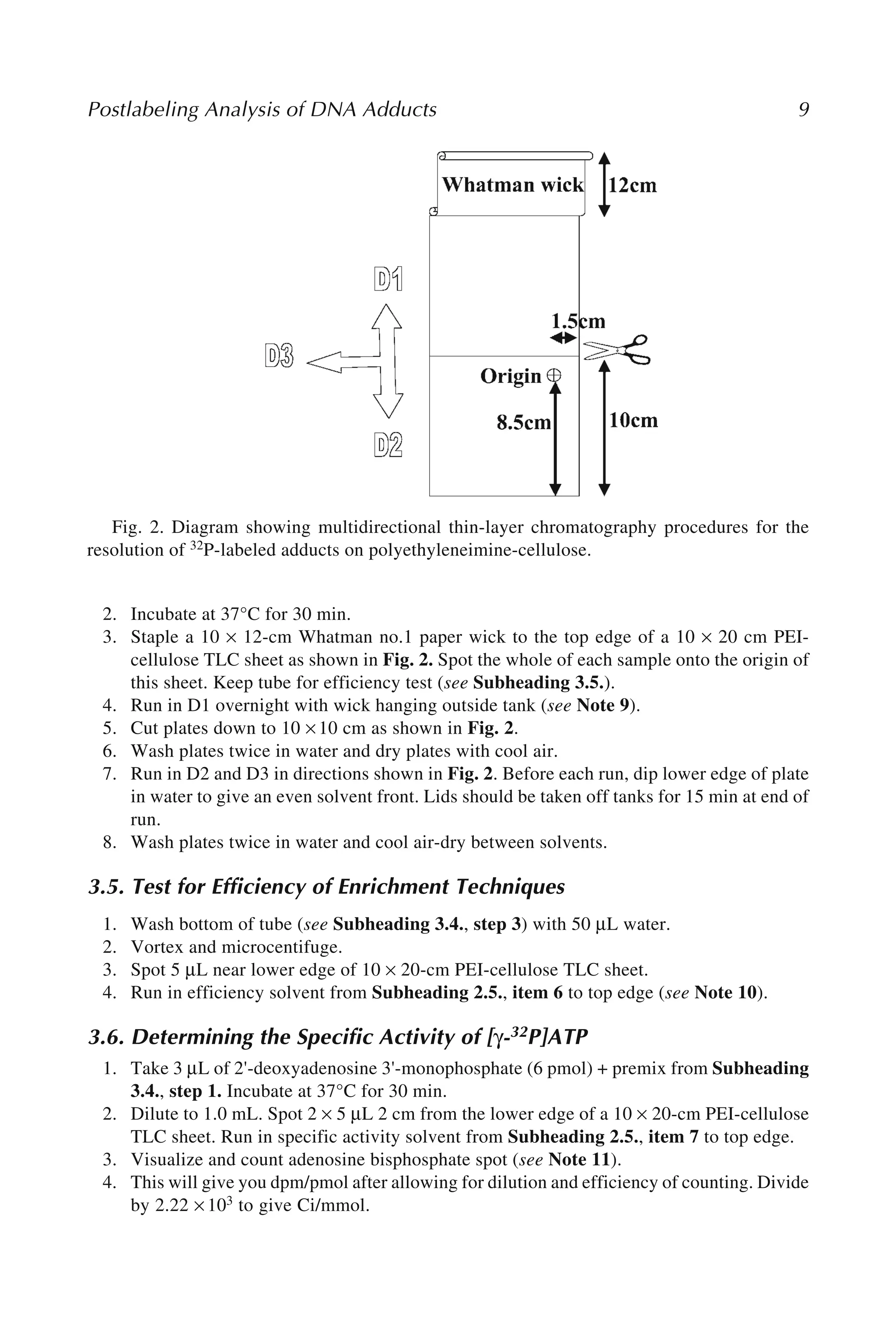Postlabeling Analysis of DNA Adducts 9
2. Incubate at 37°C for 30 min.
3. Staple a 10 × 12-cm Whatman no.1 paper wick to the top edge of a 10 × 20 cm PEI-
cellulose TLC sheet as shown in Fig. 2. Spot the whole of each sample onto the origin of
this sheet. Keep tube for efficiency test (see Subheading 3.5.).
4. Run in D1 overnight with wick hanging outside tank (see Note 9).
5. Cut plates down to 10 × 10 cm as shown in Fig. 2.
6. Wash plates twice in water and dry plates with cool air.
7. Run in D2 and D3 in directions shown in Fig. 2. Before each run, dip lower edge of plate
in water to give an even solvent front. Lids should be taken off tanks for 15 min at end of
run.
8. Wash plates twice in water and cool air-dry between solvents.
3.5. Test for Efficiency of Enrichment Techniques
1. Wash bottom of tube (see Subheading 3.4., step 3) with 50 μL water.
2. Vortex and microcentifuge.
3. Spot 5 μL near lower edge of 10 × 20-cm PEI-cellulose TLC sheet.
4. Run in efficiency solvent from Subheading 2.5., item 6 to top edge (see Note 10).
3.6. Determining the Specific Activity of [γ-32P]ATP
1. Take 3 μL of 2'-deoxyadenosine 3'-monophosphate (6 pmol) + premix from Subheading
3.4., step 1. Incubate at 37°C for 30 min.
2. Dilute to 1.0 mL. Spot 2 × 5 μL 2 cm from the lower edge of a 10 × 20-cm PEI-cellulose
TLC sheet. Run in specific activity solvent from Subheading 2.5., item 7 to top edge.
3. Visualize and count adenosine bisphosphate spot (see Note 11).
4. This will give you dpm/pmol after allowing for dilution and efficiency of counting. Divide
by 2.22 × 103 to give Ci/mmol.
Fig. 2. Diagram showing multidirectional thin-layer chromatography procedures for the
resolution of 32P-labeled adducts on polyethyleneimine-cellulose.
 