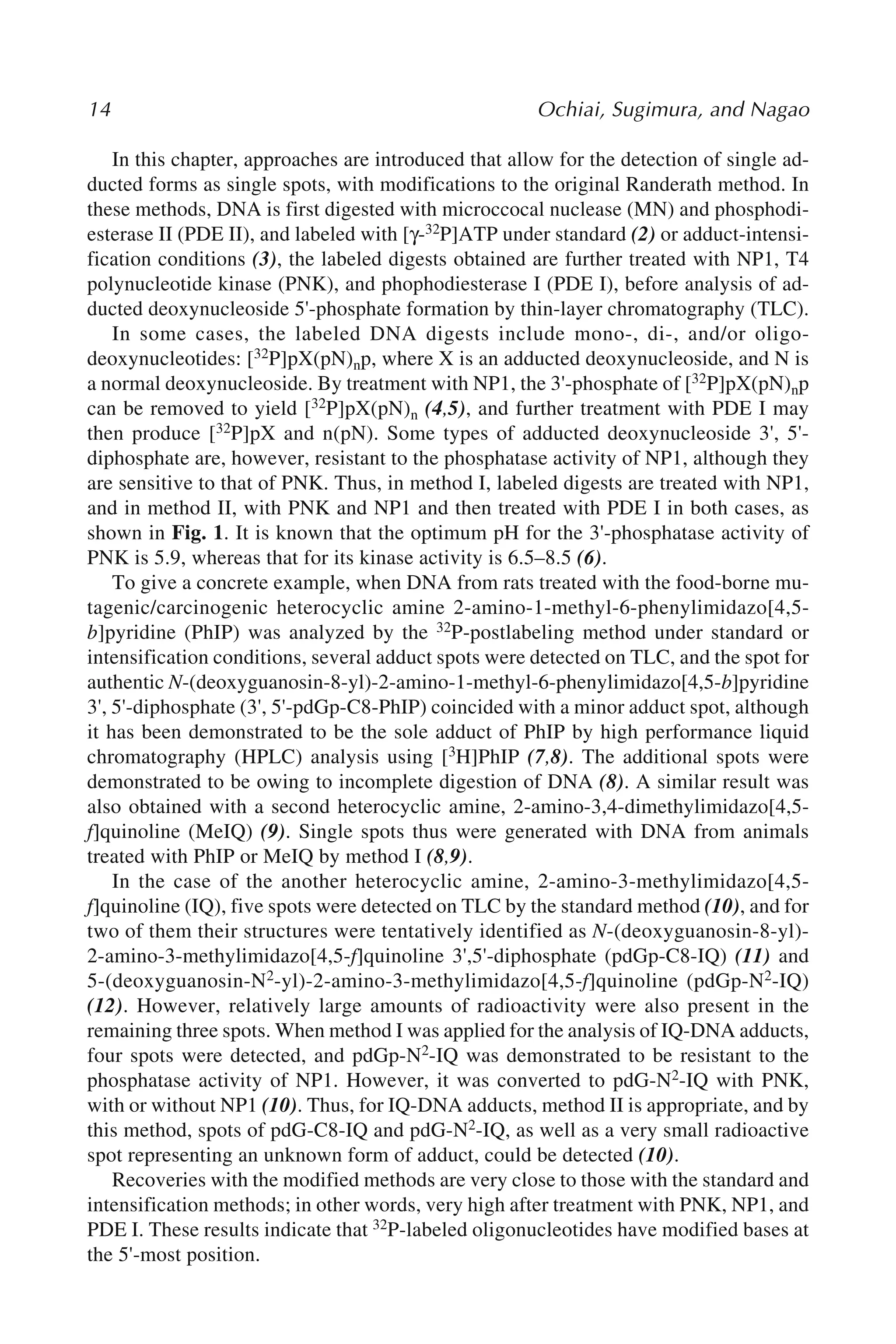 14 Ochiai, Sugimura, and Nagao
In this chapter, approaches are introduced that allow for the detection of single ad-
ducted forms as single spots, with modifications to the original Randerath method. In
these methods, DNA is first digested with microccocal nuclease (MN) and phosphodi-
esterase II (PDE II), and labeled with [γ-32P]ATP under standard (2) or adduct-intensi-
fication conditions (3), the labeled digests obtained are further treated with NP1, T4
polynucleotide kinase (PNK), and phophodiesterase I (PDE I), before analysis of ad-
ducted deoxynucleoside 5'-phosphate formation by thin-layer chromatography (TLC).
In some cases, the labeled DNA digests include mono-, di-, and/or oligo-
deoxynucleotides: [32P]pX(pN)np, where X is an adducted deoxynucleoside, and N is
a normal deoxynucleoside. By treatment with NP1, the 3'-phosphate of [32P]pX(pN)np
can be removed to yield [32P]pX(pN)n (4,5), and further treatment with PDE I may
then produce [32P]pX and n(pN). Some types of adducted deoxynucleoside 3', 5'-
diphosphate are, however, resistant to the phosphatase activity of NP1, although they
are sensitive to that of PNK. Thus, in method I, labeled digests are treated with NP1,
and in method II, with PNK and NP1 and then treated with PDE I in both cases, as
shown in Fig. 1. It is known that the optimum pH for the 3'-phosphatase activity of
PNK is 5.9, whereas that for its kinase activity is 6.5–8.5 (6).
To give a concrete example, when DNA from rats treated with the food-borne mu-
tagenic/carcinogenic heterocyclic amine 2-amino-1-methyl-6-phenylimidazo[4,5-
b]pyridine (PhIP) was analyzed by the 32P-postlabeling method under standard or
intensification conditions, several adduct spots were detected on TLC, and the spot for
authentic N-(deoxyguanosin-8-yl)-2-amino-1-methyl-6-phenylimidazo[4,5-b]pyridine
3', 5'-diphosphate (3', 5'-pdGp-C8-PhIP) coincided with a minor adduct spot, although
it has been demonstrated to be the sole adduct of PhIP by high performance liquid
chromatography (HPLC) analysis using [3H]PhIP (7,8). The additional spots were
demonstrated to be owing to incomplete digestion of DNA (8). A similar result was
also obtained with a second heterocyclic amine, 2-amino-3,4-dimethylimidazo[4,5-
f]quinoline (MeIQ) (9). Single spots thus were generated with DNA from animals
treated with PhIP or MeIQ by method I (8,9).
In the case of the another heterocyclic amine, 2-amino-3-methylimidazo[4,5-
f]quinoline (IQ), five spots were detected on TLC by the standard method (10), and for
two of them their structures were tentatively identified as N-(deoxyguanosin-8-yl)-
2-amino-3-methylimidazo[4,5-f]quinoline 3',5'-diphosphate (pdGp-C8-IQ) (11) and
5-(deoxyguanosin-N2-yl)-2-amino-3-methylimidazo[4,5-f]quinoline (pdGp-N2-IQ)
(12). However, relatively large amounts of radioactivity were also present in the
remaining three spots. When method I was applied for the analysis of IQ-DNA adducts,
four spots were detected, and pdGp-N2-IQ was demonstrated to be resistant to the
phosphatase activity of NP1. However, it was converted to pdG-N2-IQ with PNK,
with or without NP1 (10). Thus, for IQ-DNA adducts, method II is appropriate, and by
this method, spots of pdG-C8-IQ and pdG-N2-IQ, as well as a very small radioactive
spot representing an unknown form of adduct, could be detected (10).
Recoveries with the modified methods are very close to those with the standard and
intensification methods; in other words, very high after treatment with PNK, NP1, and
PDE I. These results indicate that 32P-labeled oligonucleotides have modified bases at
the 5'-most position.
 