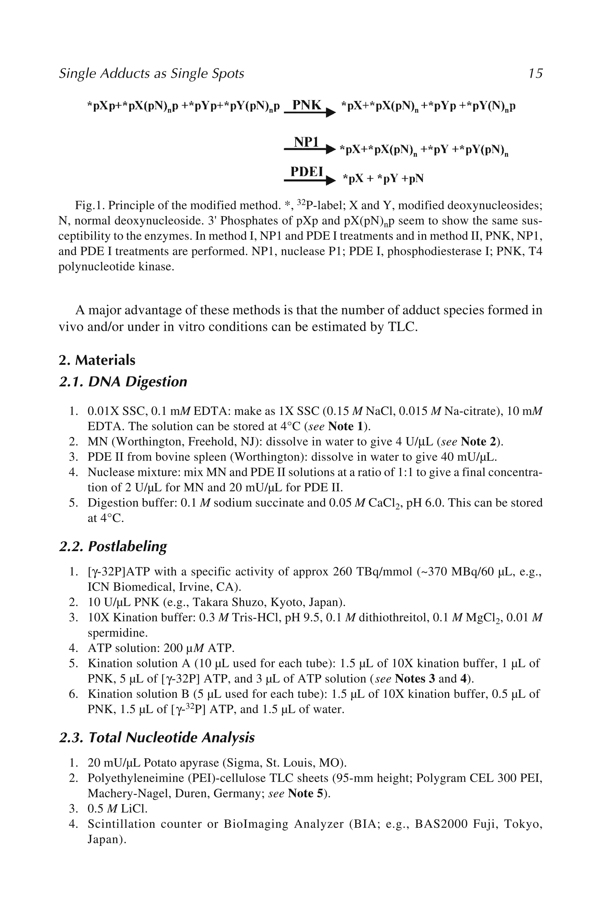 Single Adducts as Single Spots 15
A major advantage of these methods is that the number of adduct species formed in
vivo and/or under in vitro conditions can be estimated by TLC.
2. Materials
2.1. DNA Digestion
1. 0.01X SSC, 0.1 mM EDTA: make as 1X SSC (0.15 M NaCl, 0.015 M Na-citrate), 10 mM
EDTA. The solution can be stored at 4°C (see Note 1).
2. MN (Worthington, Freehold, NJ): dissolve in water to give 4 U/μL (see Note 2).
3. PDE II from bovine spleen (Worthington): dissolve in water to give 40 mU/µL.
4. Nuclease mixture: mix MN and PDE II solutions at a ratio of 1:1 to give a final concentra-
tion of 2 U/µL for MN and 20 mU/µL for PDE II.
5. Digestion buffer: 0.1 M sodium succinate and 0.05 M CaCl2, pH 6.0. This can be stored
at 4°C.
2.2. Postlabeling
1. [γ-32P]ATP with a specific activity of approx 260 TBq/mmol (~370 MBq/60 µL, e.g.,
ICN Biomedical, Irvine, CA).
2. 10 U/µL PNK (e.g., Takara Shuzo, Kyoto, Japan).
3. 10X Kination buffer: 0.3 M Tris-HCl, pH 9.5, 0.1 M dithiothreitol, 0.1 M MgCl2, 0.01 M
spermidine.
4. ATP solution: 200 µM ATP.
5. Kination solution A (10 µL used for each tube): 1.5 µL of 10X kination buffer, 1 µL of
PNK, 5 µL of [γ-32P] ATP, and 3 µL of ATP solution (see Notes 3 and 4).
6. Kination solution B (5 µL used for each tube): 1.5 µL of 10X kination buffer, 0.5 µL of
PNK, 1.5 µL of [γ-32P] ATP, and 1.5 µL of water.
2.3. Total Nucleotide Analysis
1. 20 mU/µL Potato apyrase (Sigma, St. Louis, MO).
2. Polyethyleneimine (PEI)-cellulose TLC sheets (95-mm height; Polygram CEL 300 PEI,
Machery-Nagel, Duren, Germany; see Note 5).
3. 0.5 M LiCl.
4. Scintillation counter or BioImaging Analyzer (BIA; e.g., BAS2000 Fuji, Tokyo,
Japan).
Fig.1. Principle of the modified method. *, 32P-label; X and Y, modified deoxynucleosides;
N, normal deoxynucleoside. 3' Phosphates of pXp and pX(pN)np seem to show the same sus-
ceptibility to the enzymes. In method I, NP1 and PDE I treatments and in method II, PNK, NP1,
and PDE I treatments are performed. NP1, nuclease P1; PDE I, phosphodiesterase I; PNK, T4
polynucleotide kinase.
 