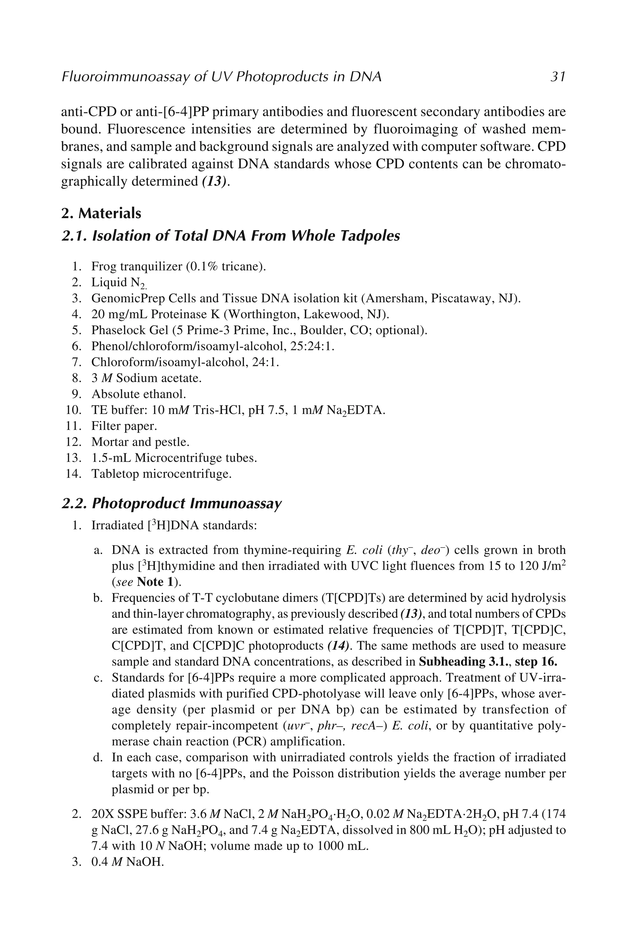 Fluoroimmunoassay of UV Photoproducts in DNA 31
anti-CPD or anti-[6-4]PP primary antibodies and fluorescent secondary antibodies are
bound. Fluorescence intensities are determined by fluoroimaging of washed mem-
branes, and sample and background signals are analyzed with computer software. CPD
signals are calibrated against DNA standards whose CPD contents can be chromato-
graphically determined (13).
2. Materials
2.1. Isolation of Total DNA From Whole Tadpoles
1. Frog tranquilizer (0.1% tricane).
2. Liquid N2.
3. GenomicPrep Cells and Tissue DNA isolation kit (Amersham, Piscataway, NJ).
4. 20 mg/mL Proteinase K (Worthington, Lakewood, NJ).
5. Phaselock Gel (5 Prime-3 Prime, Inc., Boulder, CO; optional).
6. Phenol/chloroform/isoamyl-alcohol, 25:24:1.
7. Chloroform/isoamyl-alcohol, 24:1.
8. 3 M Sodium acetate.
9. Absolute ethanol.
10. TE buffer: 10 mM Tris-HCl, pH 7.5, 1 mM Na2EDTA.
11. Filter paper.
12. Mortar and pestle.
13. 1.5-mL Microcentrifuge tubes.
14. Tabletop microcentrifuge.
2.2. Photoproduct Immunoassay
1. Irradiated [3H]DNA standards:
a. DNA is extracted from thymine-requiring E. coli (thy–, deo–) cells grown in broth
plus [3H]thymidine and then irradiated with UVC light fluences from 15 to 120 J/m2
(see Note 1).
b. Frequencies of T-T cyclobutane dimers (T[CPD]Ts) are determined by acid hydrolysis
and thin-layer chromatography, as previously described (13), and total numbers of CPDs
are estimated from known or estimated relative frequencies of T[CPD]T, T[CPD]C,
C[CPD]T, and C[CPD]C photoproducts (14). The same methods are used to measure
sample and standard DNA concentrations, as described in Subheading 3.1., step 16.
c. Standards for [6-4]PPs require a more complicated approach. Treatment of UV-irra-
diated plasmids with purified CPD-photolyase will leave only [6-4]PPs, whose aver-
age density (per plasmid or per DNA bp) can be estimated by transfection of
completely repair-incompetent (uvr–, phr–, recA–) E. coli, or by quantitative poly-
merase chain reaction (PCR) amplification.
d. In each case, comparison with unirradiated controls yields the fraction of irradiated
targets with no [6-4]PPs, and the Poisson distribution yields the average number per
plasmid or per bp.
2. 20X SSPE buffer: 3.6 M NaCl, 2 M NaH2PO4·H2O, 0.02 M Na2EDTA·2H2O, pH 7.4 (174
g NaCl, 27.6 g NaH2PO4, and 7.4 g Na2EDTA, dissolved in 800 mL H2O); pH adjusted to
7.4 with 10 N NaOH; volume made up to 1000 mL.
3. 0.4 M NaOH.
 