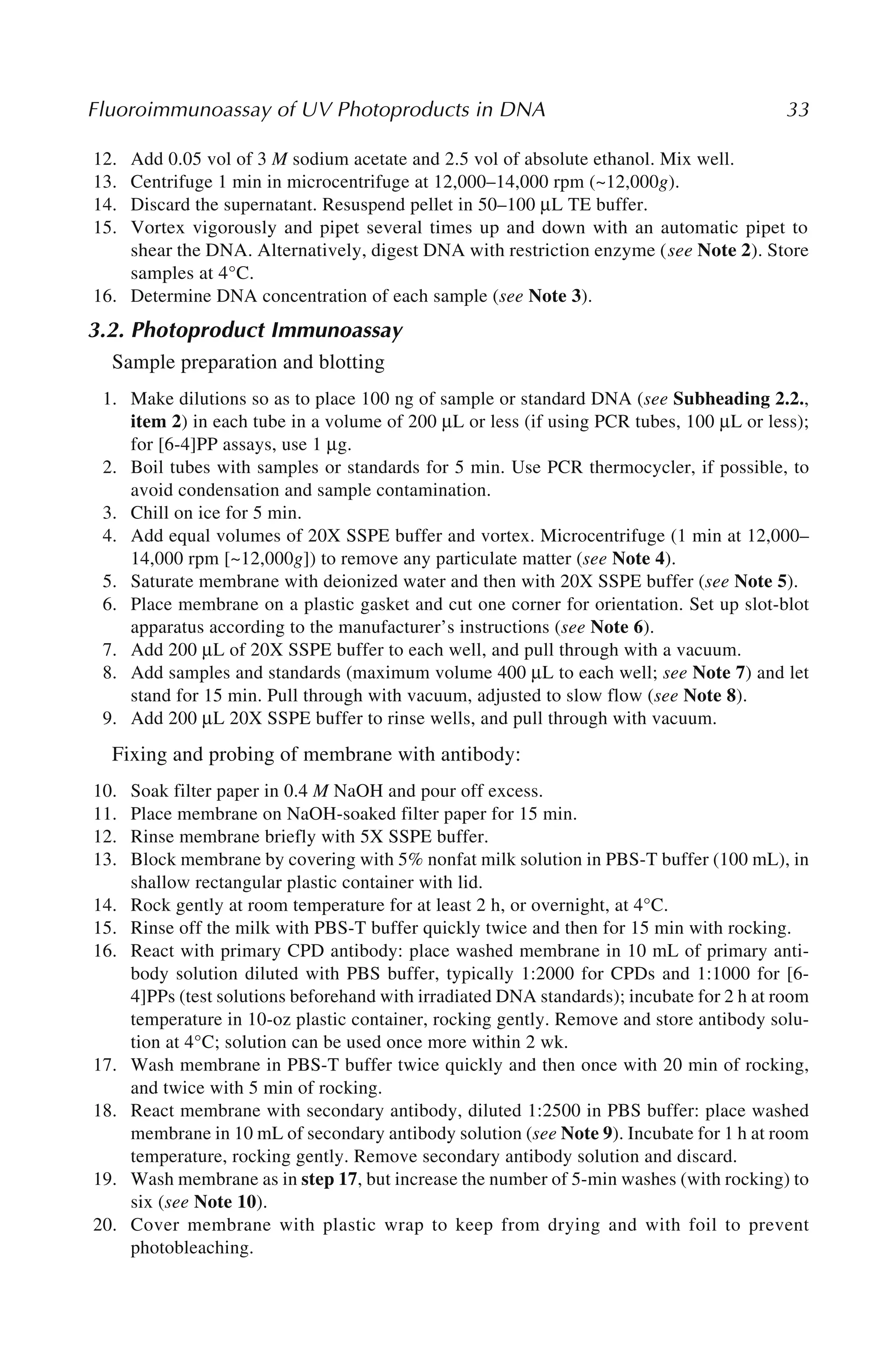 Fluoroimmunoassay of UV Photoproducts in DNA 33
12. Add 0.05 vol of 3 M sodium acetate and 2.5 vol of absolute ethanol. Mix well.
13. Centrifuge 1 min in microcentrifuge at 12,000–14,000 rpm (~12,000g).
14. Discard the supernatant. Resuspend pellet in 50–100 μL TE buffer.
15. Vortex vigorously and pipet several times up and down with an automatic pipet to
shear the DNA. Alternatively, digest DNA with restriction enzyme (see Note 2). Store
samples at 4°C.
16. Determine DNA concentration of each sample (see Note 3).
3.2. Photoproduct Immunoassay
Sample preparation and blotting
1. Make dilutions so as to place 100 ng of sample or standard DNA (see Subheading 2.2.,
item 2) in each tube in a volume of 200 μL or less (if using PCR tubes, 100 μL or less);
for [6-4]PP assays, use 1 μg.
2. Boil tubes with samples or standards for 5 min. Use PCR thermocycler, if possible, to
avoid condensation and sample contamination.
3. Chill on ice for 5 min.
4. Add equal volumes of 20X SSPE buffer and vortex. Microcentrifuge (1 min at 12,000–
14,000 rpm [~12,000g]) to remove any particulate matter (see Note 4).
5. Saturate membrane with deionized water and then with 20X SSPE buffer (see Note 5).
6. Place membrane on a plastic gasket and cut one corner for orientation. Set up slot-blot
apparatus according to the manufacturer’s instructions (see Note 6).
7. Add 200 μL of 20X SSPE buffer to each well, and pull through with a vacuum.
8. Add samples and standards (maximum volume 400 μL to each well; see Note 7) and let
stand for 15 min. Pull through with vacuum, adjusted to slow flow (see Note 8).
9. Add 200 μL 20X SSPE buffer to rinse wells, and pull through with vacuum.
Fixing and probing of membrane with antibody:
10. Soak filter paper in 0.4 M NaOH and pour off excess.
11. Place membrane on NaOH-soaked filter paper for 15 min.
12. Rinse membrane briefly with 5X SSPE buffer.
13. Block membrane by covering with 5% nonfat milk solution in PBS-T buffer (100 mL), in
shallow rectangular plastic container with lid.
14. Rock gently at room temperature for at least 2 h, or overnight, at 4°C.
15. Rinse off the milk with PBS-T buffer quickly twice and then for 15 min with rocking.
16. React with primary CPD antibody: place washed membrane in 10 mL of primary anti-
body solution diluted with PBS buffer, typically 1:2000 for CPDs and 1:1000 for [6-
4]PPs (test solutions beforehand with irradiated DNA standards); incubate for 2 h at room
temperature in 10-oz plastic container, rocking gently. Remove and store antibody solu-
tion at 4°C; solution can be used once more within 2 wk.
17. Wash membrane in PBS-T buffer twice quickly and then once with 20 min of rocking,
and twice with 5 min of rocking.
18. React membrane with secondary antibody, diluted 1:2500 in PBS buffer: place washed
membrane in 10 mL of secondary antibody solution (see Note 9). Incubate for 1 h at room
temperature, rocking gently. Remove secondary antibody solution and discard.
19. Wash membrane as in step 17, but increase the number of 5-min washes (with rocking) to
six (see Note 10).
20. Cover membrane with plastic wrap to keep from drying and with foil to prevent
photobleaching.
 