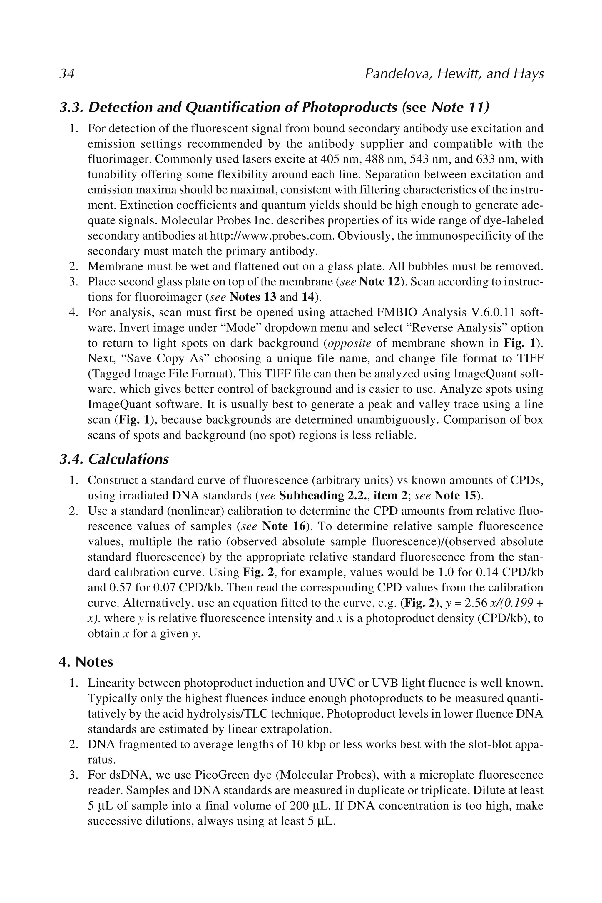 34 Pandelova, Hewitt, and Hays
3.3. Detection and Quantification of Photoproducts (see Note 11)
1. For detection of the fluorescent signal from bound secondary antibody use excitation and
emission settings recommended by the antibody supplier and compatible with the
fluorimager. Commonly used lasers excite at 405 nm, 488 nm, 543 nm, and 633 nm, with
tunability offering some flexibility around each line. Separation between excitation and
emission maxima should be maximal, consistent with filtering characteristics of the instru-
ment. Extinction coefficients and quantum yields should be high enough to generate ade-
quate signals. Molecular Probes Inc. describes properties of its wide range of dye-labeled
secondary antibodies at http://www.probes.com. Obviously, the immunospecificity of the
secondary must match the primary antibody.
2. Membrane must be wet and flattened out on a glass plate. All bubbles must be removed.
3. Place second glass plate on top of the membrane (see Note 12). Scan according to instruc-
tions for fluoroimager (see Notes 13 and 14).
4. For analysis, scan must first be opened using attached FMBIO Analysis V.6.0.11 soft-
ware. Invert image under “Mode” dropdown menu and select “Reverse Analysis” option
to return to light spots on dark background (opposite of membrane shown in Fig. 1).
Next, “Save Copy As” choosing a unique file name, and change file format to TIFF
(Tagged Image File Format). This TIFF file can then be analyzed using ImageQuant soft-
ware, which gives better control of background and is easier to use. Analyze spots using
ImageQuant software. It is usually best to generate a peak and valley trace using a line
scan (Fig. 1), because backgrounds are determined unambiguously. Comparison of box
scans of spots and background (no spot) regions is less reliable.
3.4. Calculations
1. Construct a standard curve of fluorescence (arbitrary units) vs known amounts of CPDs,
using irradiated DNA standards (see Subheading 2.2., item 2; see Note 15).
2. Use a standard (nonlinear) calibration to determine the CPD amounts from relative fluo-
rescence values of samples (see Note 16). To determine relative sample fluorescence
values, multiple the ratio (observed absolute sample fluorescence)/(observed absolute
standard fluorescence) by the appropriate relative standard fluorescence from the stan-
dard calibration curve. Using Fig. 2, for example, values would be 1.0 for 0.14 CPD/kb
and 0.57 for 0.07 CPD/kb. Then read the corresponding CPD values from the calibration
curve. Alternatively, use an equation fitted to the curve, e.g. (Fig. 2), y = 2.56 x/(0.199 +
x), where y is relative fluorescence intensity and x is a photoproduct density (CPD/kb), to
obtain x for a given y.
4. Notes
1. Linearity between photoproduct induction and UVC or UVB light fluence is well known.
Typically only the highest fluences induce enough photoproducts to be measured quanti-
tatively by the acid hydrolysis/TLC technique. Photoproduct levels in lower fluence DNA
standards are estimated by linear extrapolation.
2. DNA fragmented to average lengths of 10 kbp or less works best with the slot-blot appa-
ratus.
3. For dsDNA, we use PicoGreen dye (Molecular Probes), with a microplate fluorescence
reader. Samples and DNA standards are measured in duplicate or triplicate. Dilute at least
5 μL of sample into a final volume of 200 μL. If DNA concentration is too high, make
successive dilutions, always using at least 5 μL.
 