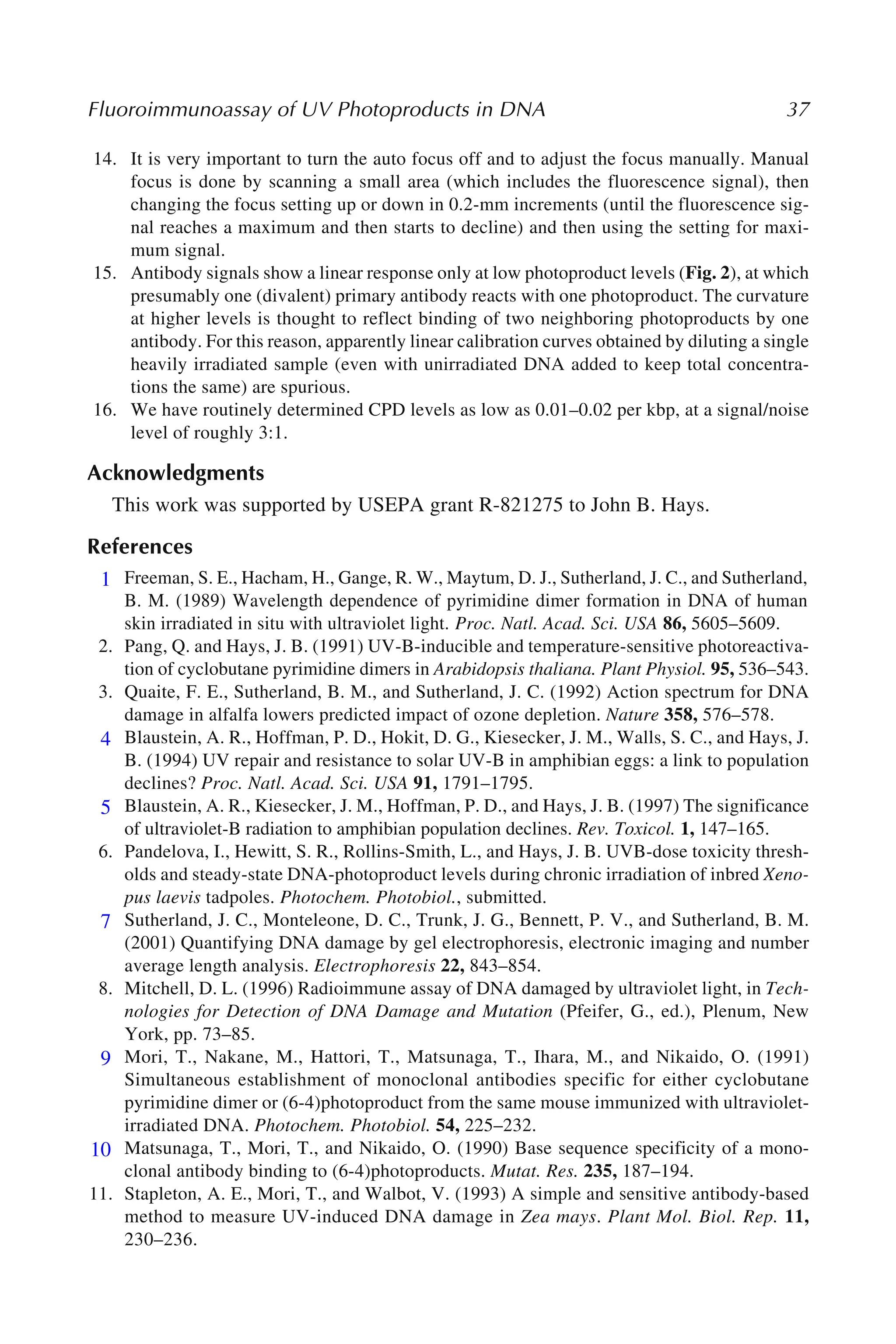 Fluoroimmunoassay of UV Photoproducts in DNA 37
14. It is very important to turn the auto focus off and to adjust the focus manually. Manual
focus is done by scanning a small area (which includes the fluorescence signal), then
changing the focus setting up or down in 0.2-mm increments (until the fluorescence sig-
nal reaches a maximum and then starts to decline) and then using the setting for maxi-
mum signal.
15. Antibody signals show a linear response only at low photoproduct levels (Fig. 2), at which
presumably one (divalent) primary antibody reacts with one photoproduct. The curvature
at higher levels is thought to reflect binding of two neighboring photoproducts by one
antibody. For this reason, apparently linear calibration curves obtained by diluting a single
heavily irradiated sample (even with unirradiated DNA added to keep total concentra-
tions the same) are spurious.
16. We have routinely determined CPD levels as low as 0.01–0.02 per kbp, at a signal/noise
level of roughly 3:1.
Acknowledgments
This work was supported by USEPA grant R-821275 to John B. Hays.
References
1. Freeman, S. E., Hacham, H., Gange, R. W., Maytum, D. J., Sutherland, J. C., and Sutherland,
B. M. (1989) Wavelength dependence of pyrimidine dimer formation in DNA of human
skin irradiated in situ with ultraviolet light. Proc. Natl. Acad. Sci. USA 86, 5605–5609.
2. Pang, Q. and Hays, J. B. (1991) UV-B-inducible and temperature-sensitive photoreactiva-
tion of cyclobutane pyrimidine dimers in Arabidopsis thaliana. Plant Physiol. 95, 536–543.
3. Quaite, F. E., Sutherland, B. M., and Sutherland, J. C. (1992) Action spectrum for DNA
damage in alfalfa lowers predicted impact of ozone depletion. Nature 358, 576–578.
4. Blaustein, A. R., Hoffman, P. D., Hokit, D. G., Kiesecker, J. M., Walls, S. C., and Hays, J.
B. (1994) UV repair and resistance to solar UV-B in amphibian eggs: a link to population
declines? Proc. Natl. Acad. Sci. USA 91, 1791–1795.
5. Blaustein, A. R., Kiesecker, J. M., Hoffman, P. D., and Hays, J. B. (1997) The significance
of ultraviolet-B radiation to amphibian population declines. Rev. Toxicol. 1, 147–165.
6. Pandelova, I., Hewitt, S. R., Rollins-Smith, L., and Hays, J. B. UVB-dose toxicity thresh-
olds and steady-state DNA-photoproduct levels during chronic irradiation of inbred Xeno-
pus laevis tadpoles. Photochem. Photobiol., submitted.
7. Sutherland, J. C., Monteleone, D. C., Trunk, J. G., Bennett, P. V., and Sutherland, B. M.
(2001) Quantifying DNA damage by gel electrophoresis, electronic imaging and number
average length analysis. Electrophoresis 22, 843–854.
8. Mitchell, D. L. (1996) Radioimmune assay of DNA damaged by ultraviolet light, in Tech-
nologies for Detection of DNA Damage and Mutation (Pfeifer, G., ed.), Plenum, New
York, pp. 73–85.
9. Mori, T., Nakane, M., Hattori, T., Matsunaga, T., Ihara, M., and Nikaido, O. (1991)
Simultaneous establishment of monoclonal antibodies specific for either cyclobutane
pyrimidine dimer or (6-4)photoproduct from the same mouse immunized with ultraviolet-
irradiated DNA. Photochem. Photobiol. 54, 225–232.
10. Matsunaga, T., Mori, T., and Nikaido, O. (1990) Base sequence specificity of a mono-
clonal antibody binding to (6-4)photoproducts. Mutat. Res. 235, 187–194.
11. Stapleton, A. E., Mori, T., and Walbot, V. (1993) A simple and sensitive antibody-based
method to measure UV-induced DNA damage in Zea mays. Plant Mol. Biol. Rep. 11,
230–236.
1
4
5
7
9
10
 