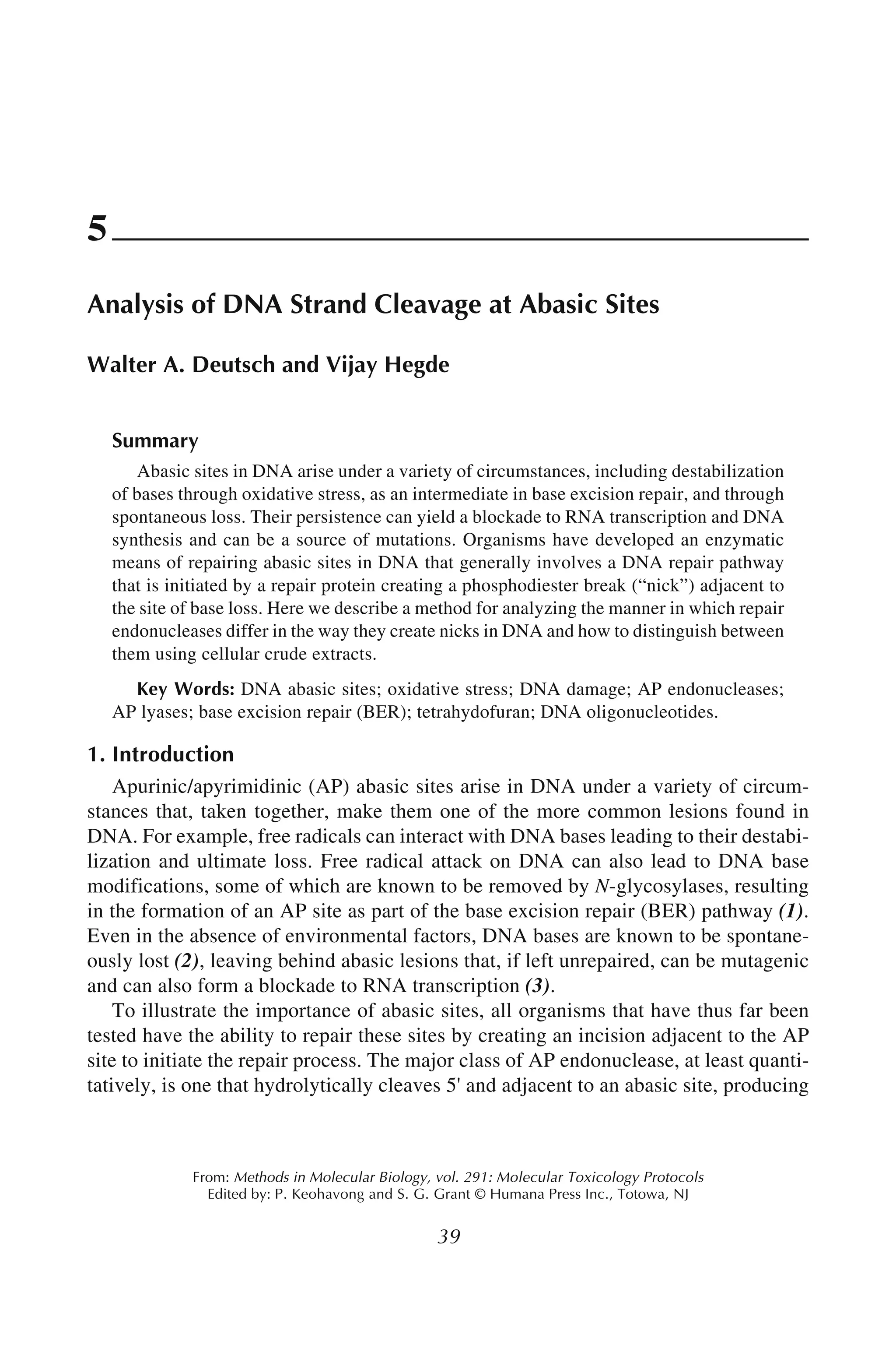 AP Endonuclease Assay 39
39
From: Methods in Molecular Biology, vol. 291: Molecular Toxicology Protocols
Edited by: P. Keohavong and S. G. Grant © Humana Press Inc., Totowa, NJ
5
Analysis of DNA Strand Cleavage at Abasic Sites
Walter A. Deutsch and Vijay Hegde
Summary
Abasic sites in DNA arise under a variety of circumstances, including destabilization
of bases through oxidative stress, as an intermediate in base excision repair, and through
spontaneous loss. Their persistence can yield a blockade to RNA transcription and DNA
synthesis and can be a source of mutations. Organisms have developed an enzymatic
means of repairing abasic sites in DNA that generally involves a DNA repair pathway
that is initiated by a repair protein creating a phosphodiester break (“nick”) adjacent to
the site of base loss. Here we describe a method for analyzing the manner in which repair
endonucleases differ in the way they create nicks in DNA and how to distinguish between
them using cellular crude extracts.
Key Words: DNA abasic sites; oxidative stress; DNA damage; AP endonucleases;
AP lyases; base excision repair (BER); tetrahydofuran; DNA oligonucleotides.
1. Introduction
Apurinic/apyrimidinic (AP) abasic sites arise in DNA under a variety of circum-
stances that, taken together, make them one of the more common lesions found in
DNA. For example, free radicals can interact with DNA bases leading to their destabi-
lization and ultimate loss. Free radical attack on DNA can also lead to DNA base
modifications, some of which are known to be removed by N-glycosylases, resulting
in the formation of an AP site as part of the base excision repair (BER) pathway (1).
Even in the absence of environmental factors, DNA bases are known to be spontane-
ously lost (2), leaving behind abasic lesions that, if left unrepaired, can be mutagenic
and can also form a blockade to RNA transcription (3).
To illustrate the importance of abasic sites, all organisms that have thus far been
tested have the ability to repair these sites by creating an incision adjacent to the AP
site to initiate the repair process. The major class of AP endonuclease, at least quanti-
tatively, is one that hydrolytically cleaves 5' and adjacent to an abasic site, producing
 