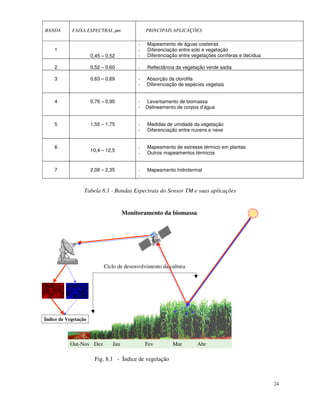 24
BANDA FAIXA ESPECTRAL µm PRINCIPAIS APLICAÇÕES
1
0,45 – 0,52
- Mapeamento de águas costeiras
- Diferenciação entre solo e vegetação
- Diferenciação entre vegetações coníferas e decídua
2 0,52 – 0,60 - Reflectância da vegetação verde sadia
3 0,63 – 0,69 - Absorção da clorofila
- Diferenciação de espécies vegetais
4 0,76 – 0,90 - Levantamento de biomassa
- Delineamento de corpos d’água
5 1,55 – 1,75 - Medidas de umidade da vegetação
- Diferenciação entre nuvens e neve
6
10,4 – 12,5
- Mapeamento de estresse térmico em plantas
- Outros mapeamentos térmicos
7 2,08 – 2,35 - Mapeamento hidrotermal
-
Tabela 8.1 - Bandas Espectrais do Sensor TM e suas aplicações
Out-Nov Dez Jan Fev Mar Abr
Ciclo de desenvolvimento da cultura
Monitoramento da biomassa
Índice de Vegetação
Fig. 8.1 - Índice de vegetação
 