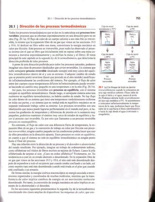 Capitulo 20 Sears Pdf