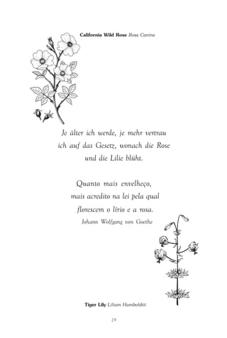 O que é a Terapia Floral?
29
Je älter ich werde, je mehr vertrau
ich auf das Gesetz, wonach die Rose
und die Lilie blüht.
Quanto mais envelheço,
mais acredito na lei pela qual
florescem o lírio e a rosa.
Johann Wolfgang von Goethe
California Wild Rose Rosa Canina
Tiger Lily Lilium Humboldtii
Parte1.pmd 25/3/2009, 11:2429
 