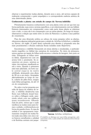 O que é a Terapia Floral?
41
observar e experimentar muitas plantas, durante anos e anos, até sermos capazes de
realmente compreender o gesto arquetípico e a correspondente essência anímica de
uma determinada planta.
Conhecendo a planta: um estudo de campo do Yarrow/milefólio
Primeiramente travamos conhecimento com uma planta como um ser que tem sua
forma particular, suas cores e aromas específicos, e um relacionamento com seu hábitat.
Estamos interessados em compreender como cada parte dessa planta se relaciona
com o todo, e como ela é em comparação com as outras plantas. Ao longo do tempo,
observamos a relação que existe entre os ciclos da Natureza e a planta e seus padrões
de crescimento.
Para dar uma dimensão prática ao esboço da nossa pesquisa sobre as plantas,
oferecemos algumas indicações gerais para o estudo da Achillea millefolium, o milefólio
ou Yarrow, em inglês. A partir dessa conhecida erva silvestre é preparada uma das
mais proeminentes e eficazes essências florais incluídas neste Repertório.
Encontramos o milefólio florescendo em áreas abertas e ensolaradas, e particular-
mente magnífico no hábitat das campinas de montanhas. No início da primavera,
vemos apenas um tapete de folhas verde-escuras e cobertas de lanugem, bem junto ao
chão. Esfregando as folhas entre
os dedos, deparamo-nos com um
aroma forte e penetrante. Se es-
cavarmos um pouco, veremos as
raízes rizo-matosas espalhando-se
sob a terra. Quando a primavera
está mais adiantada, um forte cau-
le central ergue-se da matriz
enfolhada, alcançando uma altura
de 30 cm a um metro. Arranjadas
alternadamente ao longo do cau-
le, coberto de pêlos finos, surgem
mais folhas penugentas, de até 13
cm de comprimento.
No calor e na luz presentes por
volta da época do solstício de ve-
rão, o milefólio desabrocha suas
flores num brilhante dossel bran-
co sobre a folhagem verde, pare-
cendo reluzir com sua radiância
quase incandescente. Olhando
mais de perto, vemos que o caule
ramificou-se muitas vezes para for-
mar a umbela, a inflorescência em
forma de guarda-chuva. A copa da
umbela é um agrupamento extre-
mamente compacto de muitas flo-
res (cada uma delas com cinco rai-
os brancos semelhantes a pétalas)
e de florinhas centrais com peque-
Yarrow Achillea millefolium
O milefólio se distingue por suas folhas penugentas, pelo
caule forte e reto, e pela umbela de radiantes flores brancas
compostas.
Parte1.pmd 25/3/2009, 11:2441
 