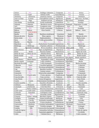Arnica N.I. Solidago vulneraria Compostas N.I. Arnica
Aroeira Copal Schinus molle Anacardáceas N.I. Aroeira
Artemísia Artemizia Artemisia ramosa Compostas N.I. Artemísia
Asan ou Osan Caimito Chrisophilum cainito Sapotáceas Òsanko Abiu-roxo / do Pará
Asiami Papa Solanum torvum Solanáceas Ikan wéwé Jurubeba
Assa-fétida Assafetida Ferula assafoetida Umbelíferas N.I Assafete
Atiponla Atiponla Boerhavia erecta Mictagináceas Ètìpónolá Pega-pinto/ E.tostão
Ayo Guacalote Cesalpinia crista Cesalpináceas Ayò Taray
Azedinha N.I. Oxalis corniculata Oxalidáceas N.I. Azedinha
Babosa Babosa Aloes humilis Liliáceas Ipólerin Babosa / Aloes
Baleeira VER BARIA
Bambu Bambu Bambusa arundinacea Gramíneas Àpako Bambu
Banana-da-terra Boniato Musa sapiens Musáceas Ògèdè Banana-da-terra
Barba-timão N.I. Stiphinodendron Leguminosas N.I. Barba-timão
Baria Varia Cordia gerascanthus Tiliáceas N.I Baleeira
Bayeku Bayeku N.I. N.I. N.I. N.I.
Bejerekun Erú Pachyelasma Tessmanii Leguminosas Èrù Bejerecun
Beldroega Beldroega Claytonia cubensis Portulacáceas N.I Beldroega
Bere Aguinaldo de-pascuas Rivea corymbosa Convolvuláceas Òfèrè gàmú Altéia
Betis-cheiroso N.I. Piper eucaliptifolium Piperáceas N.I. Betis-cheiroso
Boldo Boldo Pneumus boldus Monimiáceas N.I Tapete-de-oxalá
Botão-de-ouro Boton-de-oro Abutilon Hirtus Malváceas Òfìn Botão-de-ouro
Brada-mundo N.I. Manthas silvestris Labiadas N.I. Brada-mundo
Bredo Bledo Amaranthus spinous Amarantáceas Tètè elégùn Bredo espinhoso
Bredo-branco Bledo-blanco Amaranthus viridis Amarantáceas Tètè pupa Bredo
Bucha-vegetal Estropajo Luffa cylindrica Cucurbitáceas Kànrìnkàn Bucha
Buchinha-do-norte N.I Luffa acutangula Cucurbitáceas Òrírá Bucha-de-purga
Cabaceira Guiro Cucurbita lagenaria Cucurbitáceas Igbá Cabaceira
Caferana N.I. Picrolema pseudofolia Simarubáceas N.I. Caferana
Cajá Okikan Spondias mombin Anacardiáceas Òkikà Cajazeira
Cambará N.I. Lantana camara Verbanáceas N.I. Cambará
Camomila N.I. Achyroclina satureoides Compostas N.I. Camomila
Cana-brava Canela santa Costus spicatus Zingiberáceas Tètèrègún Cana-do-brejo
Cana-da-índia N.I. Cana coccinea Canáceas Idófin Cana-da-índia
Cana-fístula N.I. Cassia ferruginosa Leguminosas N.I. Cana-fístula
Canela Canela Cinnomamum Zeylanicum Lauráceas N.I. Canela
Canela-sassafrás N.I Sassafras oficinalus Lauráceas N.I Canela-sassafrás
Cânhamo Marijuana Cannabis indica Mirtáceas Igbó Maconha
Cansanção Chichicrate Urera baccifera Urticáceas Èsigalà Cansanção
Cará Ñame volador Discorea amazonum Discoreáceas Ewùrà Cará
Cardo-santo Cardo-santo Cnicus benedictus Compostas N.I. Cardo-santo
Carnícula Guacalote Caelsapinia crista Cesalpináceas Àyò/ Sáyó Carnícula/ taray
Carobinha N.I. Jacaranda caroba Bignoniáceas N.I. Carobinha
Carqueja Kikan / okikan Baccharis triptera Compostas N.I. Carqueja
Carrapeta Yamagua Guarea trichilioides Meliáceas Olófun Gitó
Carvalho Carvajo Terminalia retundifolia Arpulíferas Àfà Carvalho
Cascarilla Cascarilla Croton eleutheria Euforbiáceas Ajè kòbàlè Cróton
Cascaveleira Abirikolo Crotolária lachnophora Leguminosas Abíríkolo Cascaveleira
Catiguá Catiguá Trichilia catingua Meliáceas Pápá Catinguá
Catuaba Jiba Eurytroxilon havanensis Eritroxiláceas N.I. Catuaba
Cauda-de-raposa N.I. Amaranthus hybridus Amarantáceas N.I. Cauda-de-raposa
Cavalinha N.I. Equisetum gigantum Equisetáceas N.I. Cavalinha
Cedro Cedro Cabralea leavis Meliáceas N.I. Cedro-caiarana
150
 
