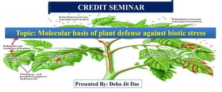 Friday, September 23, 2016
CREDIT SEMINAR
Topic: Molecular basis of plant defense against biotic stress
Presented By: Deba Jit Das
1
 