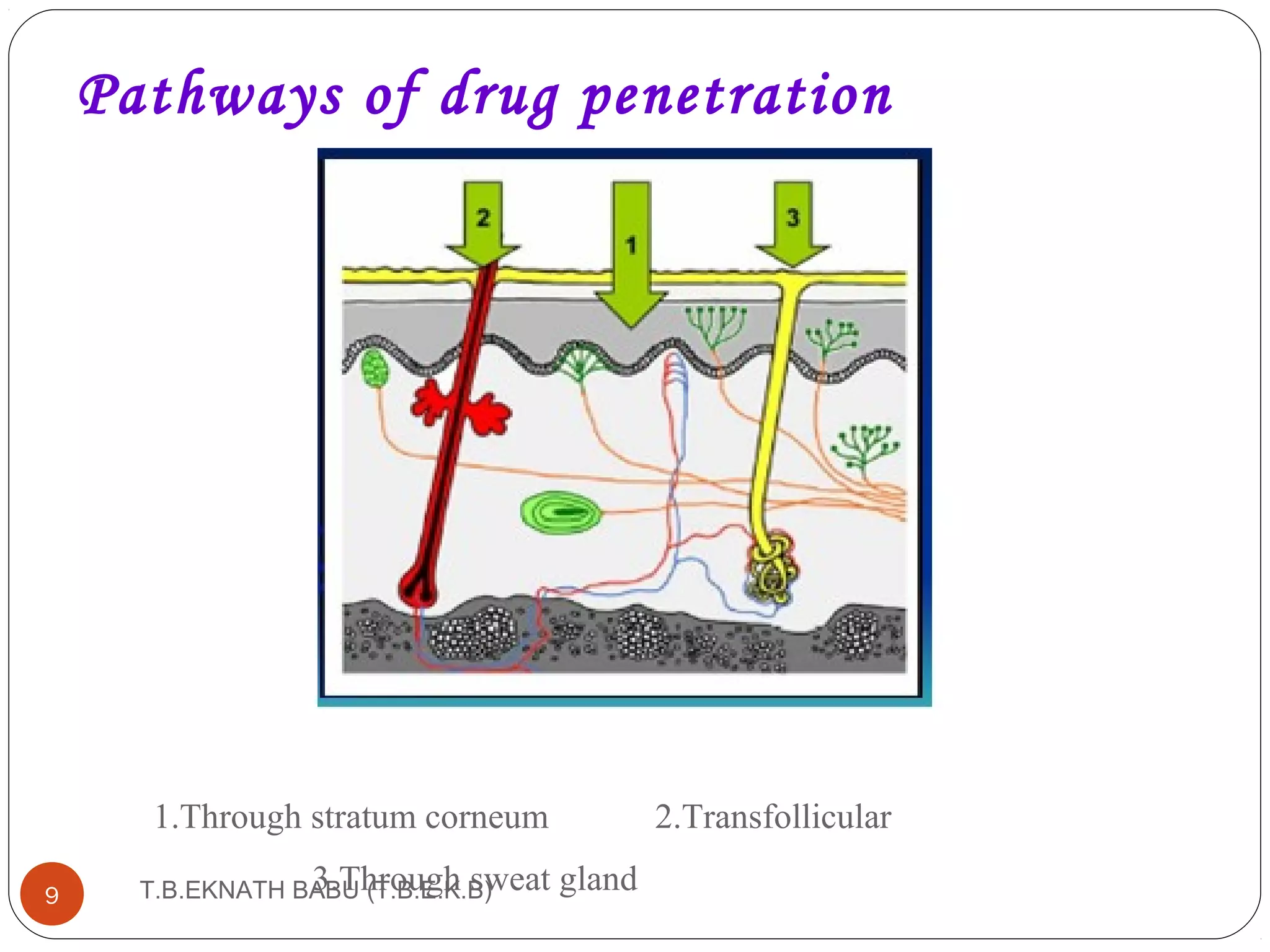 TRANSDERMAL DRUG DELIVERY SYSTEM | PPT