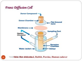FFrraannzz DDiiffffuussiioonn CCeellll 
39 T . B .E K SNkAiTnH: B RABaUt a(Tb.Bd.Eo.mK.Bin) al, Rabbit, Porcine, Human cadaver 
 