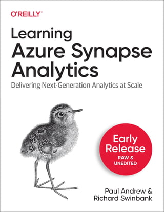 Learning Azure Synapse Analytics (Third Early Release) Paul Andrew | PDF