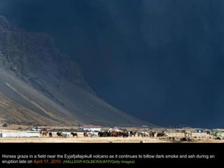 Horses graze in a field near the Eyjafjallajokull volcano as it continues to billow dark smoke and ash during an eruption late on  April 17, 2010.  (HALLDOR KOLBEINS/AFP/Getty Images) 