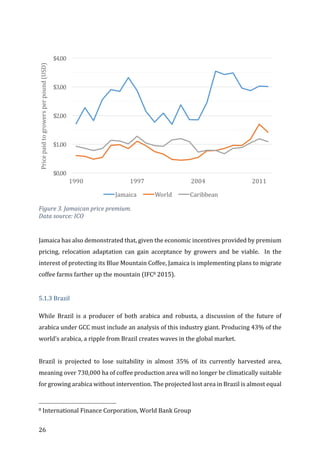 26	
	
	
Figure	3.	Jamaican	price	premium.	
Data	source:	ICO	
	
Jamaica	has	also	demonstrated	that,	given	the	economic	incentives	provided	by	premium	
pricing,	 relocation	 adaptation	 can	 gain	 acceptance	 by	 growers	 and	 be	 viable.	 	 In	 the	
interest	of	protecting	its	Blue	Mountain	Coffee,	Jamaica	is	implementing	plans	to	migrate	
coffee	farms	farther	up	the	mountain	(IFC8	2015).	
	
5.1.3	Brazil	
While	 Brazil	 is	 a	 producer	 of	 both	 arabica	 and	 robusta,	 a	 discussion	 of	 the	 future	 of	
arabica	under	GCC	must	include	an	analysis	of	this	industry	giant.	Producing	43%	of	the	
world’s	arabica,	a	ripple	from	Brazil	creates	waves	in	the	global	market.		
	
Brazil	 is	 projected	 to	 lose	 suitability	 in	 almost	 35%	 of	 its	 currently	 harvested	 area,	
meaning	over	730,000	ha	of	coffee	production	area	will	no	longer	be	climatically	suitable	
for	growing	arabica	without	intervention.	The	projected	lost	area	in	Brazil	is	almost	equal	
																																																								
8	International	Finance	Corporation,	World	Bank	Group	
$0.00
$1.00
$2.00
$3.00
$4.00
1990 1997 2004 2011
Price	paid	to	growers	per	pound	(USD)
Jamaica World Caribbean
 