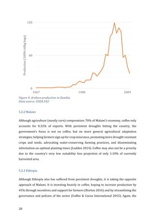 28	
	
Figure	4.	Arabica	production	in	Zambia.	
Data	source:	USDA	FAS	
	
5.2.2	Malawi	
Although	agriculture	(mostly	corn)	compromises	70%	of	Malawi’s	economy,	coffee	only	
accounts	 for	 0.32%	 of	 exports.	 With	 persistent	 droughts	 hitting	 the	 country,	 the	
government’s	 focus	 is	 not	 on	 coffee,	 but	 on	 more	 general	 agricultural	 adaptation	
strategies;	helping	farmers	sign	up	for	crop	insurance,	promoting	more	drought-resistant	
crops	 and	 seeds,	 advocating	 water-conserving	 farming	 practices,	 and	 disseminating	
information	on	optimal	planting	times	(Ludden	2014).	Coffee	may	also	not	be	a	priority	
due	 to	 the	 country’s	 very	 low	 suitability	 loss	 projection	 of	 only	 1.10%	 of	 currently	
harvested	area.	
	
5.2.3	Ethiopia	
Although	Ethiopia	also	has	suffered	from	persistent	droughts,	it	is	taking	the	opposite	
approach	of	Malawi.	It	is	investing	heavily	in	coffee,	hoping	to	increase	production	by	
45%	through	incentives	and	support	for	farmers	(Norton	2016)	and	by	streamlining	the	
governance	and	policies	of	the	sector	(Coffee	&	Cocoa	International	2015).	Again,	the	
0
60
120
1967 1988 2009
Production	(1000s	60kg	bags)
 
