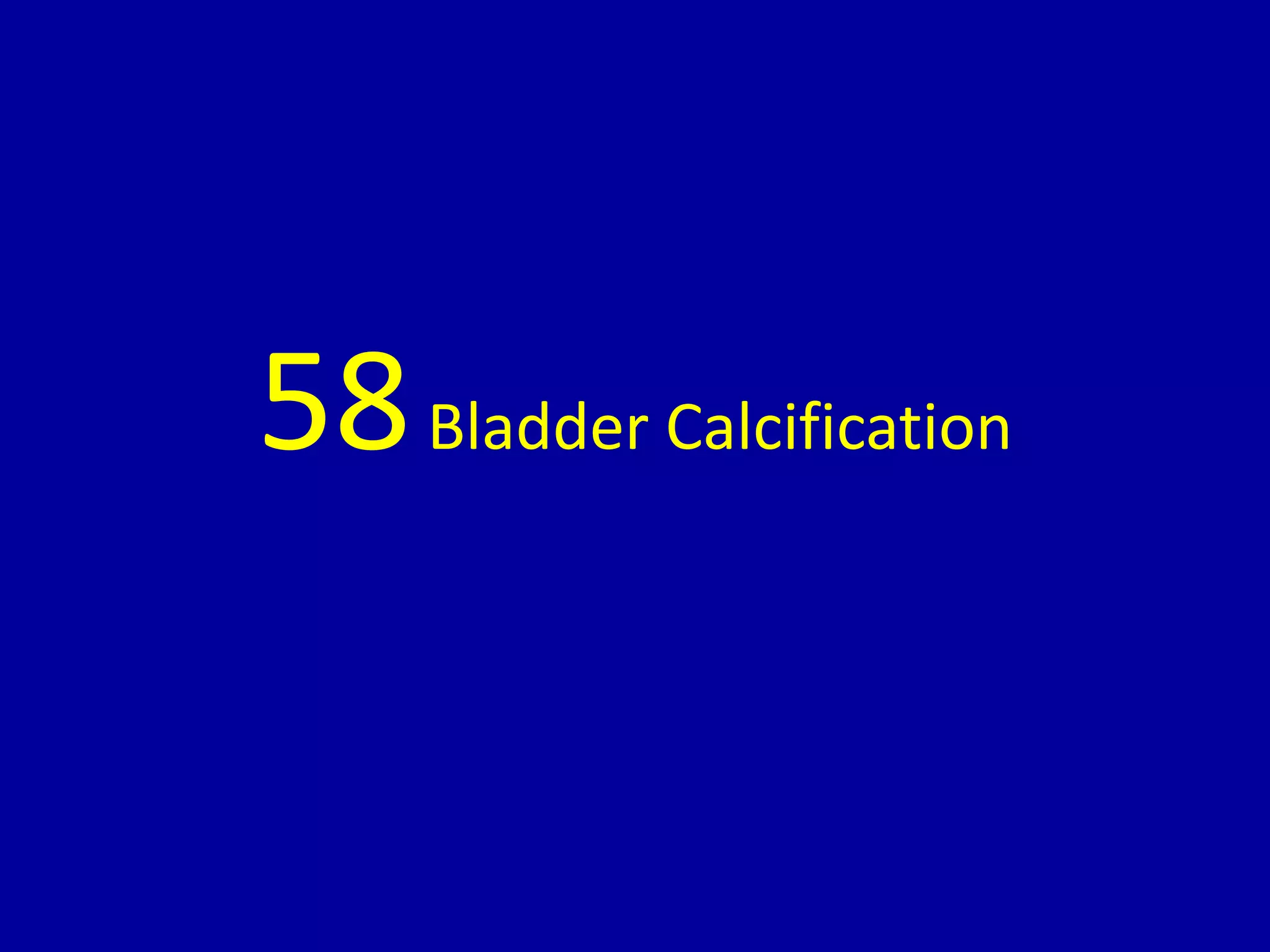 58Bladder Calcification