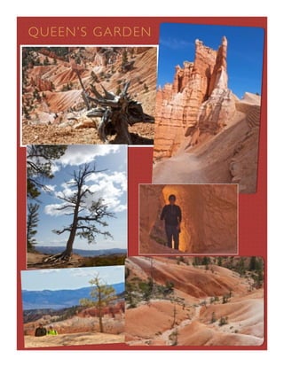 QU E E N ’ S G A R D E N
 
