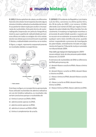 w w w . m u n d o e d u . c o m . b r
8. (UEL) Células epiteliais de cobaia, em diferentes
fasesdociclocelular,foramexpostasdurantealguns
minutosàtimidinaradioativa(nucleotídeodetimina).
A sua posterior observação para avaliar a incorpo-
ração do nucleotídeo, feita pela técnica de autor-
radiograﬁa (impressão em película fotográﬁca),
mostrou que o padrão de radioatividade perman-
eceu difuso em todos os estágios do ciclo celular,
exceto nas células que se encontravam no período
S.Nestas,aradioatividadeconcentrou-senonúcleo.
A ﬁgura, a seguir, representa esquematicamente
os resultados obtidos na experiência:
Com base na ﬁgura, se na experiência apresentada
fosse utilizado nucleotídeo de adenina radioativa
em vez de timidina radioativa, os resultados não
seriam conclusivos porque o nucleotídeo de
a) timina é comum ao DNA e RNA.
b) adenina existe apenas no DNA.
c) adenina existe apenas no RNA.
d) adenina é comum ao DNA e RNA.
e) timina é complementar de uracila.
9. (UFAM) O Presidente da República, Luiz Inácio
Lula da Silva, sancionou na última quinta-feira,
dia 30 de julho de 2009, a Lei número 12.004,
alterando a Lei número 8.560, que regula a inves-
tigação de paternidade dos ﬁlhos havidos fora do
casamento. A mudança na legislação reconhece a
presunção de paternidade quando o suposto pai
se recusar em se submeter ao exame de DNA ou a
qualquer outro meio cientíﬁco de prova, quando
estiver respondendo a processo de investigação
de paternidade, entendimento iniciado em julga-
mentosdoSuperiorTribunaldeJustiçaesumulado
no tribunal desde 2004.
http://pfdc.pgr.mpf.gov.br/clipping/agosto-2009/
recusa-emfazer-teste-de-dna-presume-paternidade.
Acesso em: 21/10/09
A estrutura do nucleotídeo de DNA se diferencia
do RNA pela presença de:
a) desoxirribose e uracila no RNA; ribose e timina
no DNA .
b) desoxirribose e uracila no RNA; desoxirribose
e citosina no DNA.
c) ribose e timina no RNA; desoxirribose e uracila
no DNA .
d) ribose e uracila no RNA; desoxirribose e
timina no DNA .
e) riboseetiminanoRNA;riboseeadeninanoDNA.
 