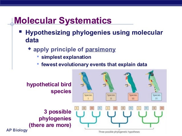 58 ch25phylogeny2005
