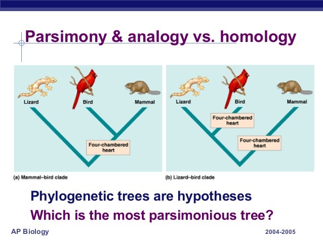 58 Ch25phylogeny2005 58-ch25phylogeny2005