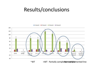Results/conclusions
-40
-20
0
20
40
60
80
100
120
140
Col-0 cpr5-2 H-IV: 5-4
(Tray 2)
J-II: 1-1 A-VI: 10-5 A-V: 5-1 H-IV: 1-5 J-II: 2-6 H-IV: 4-5
(Tray 2)
H-IV: 7-4
(Tray 2)
1-branch 2-branch 3-branch 4-branch
~WT >WT Partially complemented lineNot complemented line
 